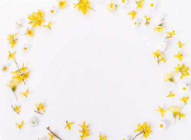 Küçük çiçekli bahar çerçevesi ve papatya, çiçek aranjmanı