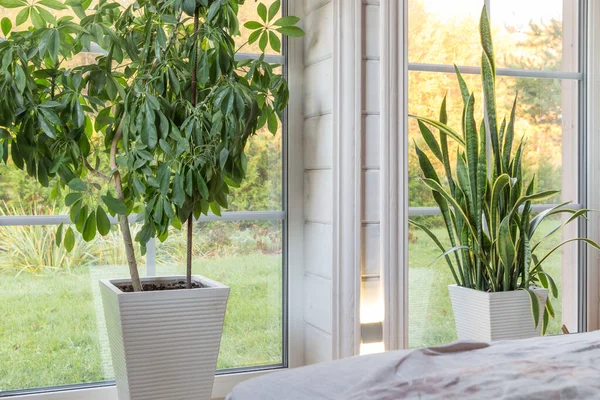 Helles Fotostudio-Interieur mit großem Fenster, hoher Decke, weißem Holzboden — Stockfoto