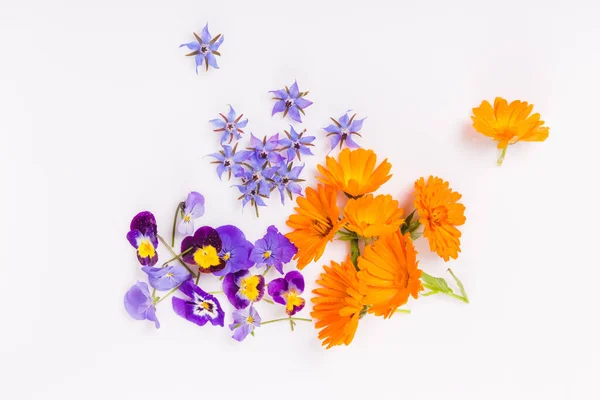 Purple, blue, orange edible flowers: viola, calendula and borage on white background. — Foto de Stock