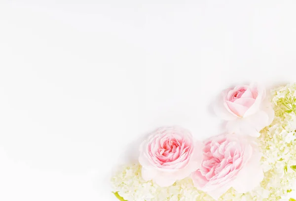 Праздничный Розовый Цветок Розовый Состав Белом Фоне Сверху Вид Сверху — стоковое фото
