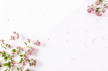 Beyaz arka planda Oregano çiçekleri ve yaprakları var. Üst manzara, düz yatış. Çiçekli marjoram yaratıcı kompozisyonu. Sağlıklı beslenme ve alternatif tıp konsepti