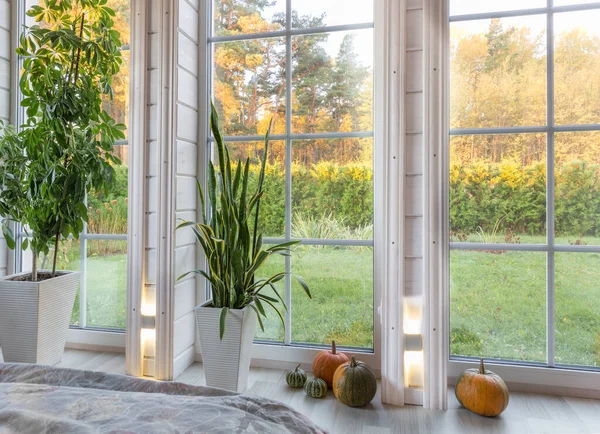 Bright Interior Room Wooden House Large Window Overlooking Autumn Courtyard — Stock Photo, Image