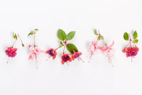 Flat lay holiday set with pink, purple fuchsia flowers on white background, top view