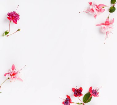 Frame from marigold, viola, borage flower on white background. Top view. Flat lay pattern, edible flower, summer or autumn concept