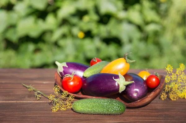 Fresh Vegetables Garden Eggplant Tomatoes Cucumbers Dill Wooden Table Blurred — Foto de Stock