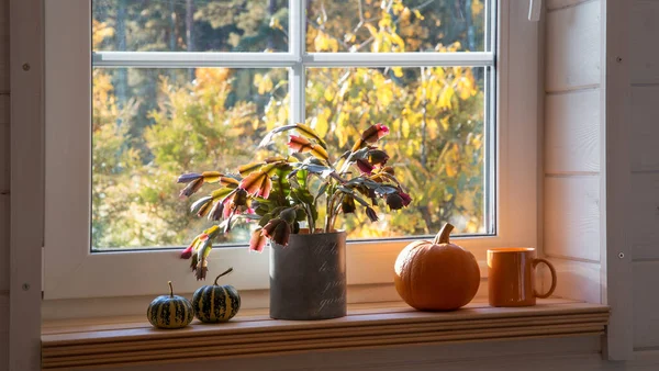 Helder Fotostudio Interieur Met Groot Raam Hoog Plafond Witte Houten — Stockfoto