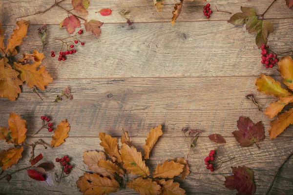 Oddział Jesienny Suchy Dąb Liść Rustykalny Drewniany Tło Widok Góry — Zdjęcie stockowe