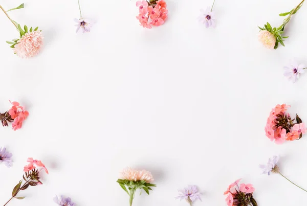 Marco Otoño Composición Creativa Flores Coral Rosa Sobre Fondo Blanco — Foto de Stock
