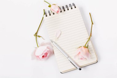 Boş sayfa defterinde pembe gül çiçeği ve taç yaprakları, beyaz arka planda kalem. Üst Manzara. Uzayı metin için kopyala. Kadınsı kavram.