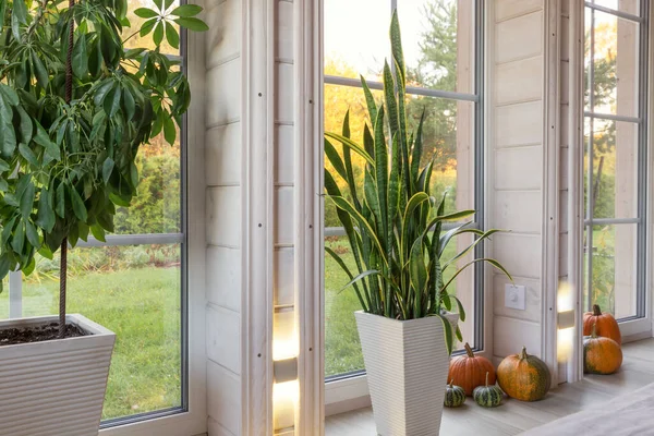 Helle Studioeinrichtung Mit Großem Fenster Hoher Decke Weißem Holzboden Goldenem — Stockfoto