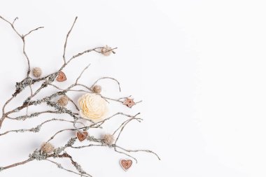 Noel, Yeni Yıl, Sonbahar arkaplanı, düz uzanan doğal süsler ve dallar, Berrie, kış dalları yosunlarla kaplı, mesaj atmak için boş alan, tebrikler, davetiyeler