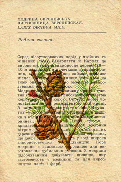 Винтажная бумага
