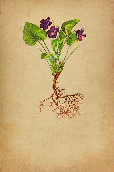 Винтажная бумага
