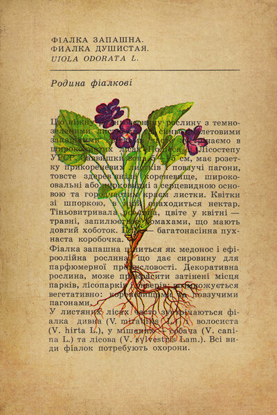 Винтажная бумага
