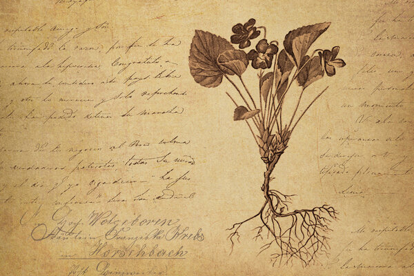 Винтажная бумага
