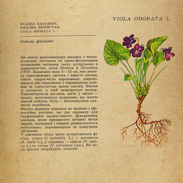 Винтажная бумага
