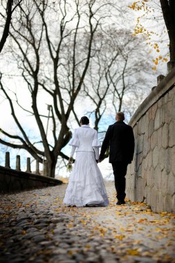 Gelin ve damat sonbahar bir parkta yürüyüş