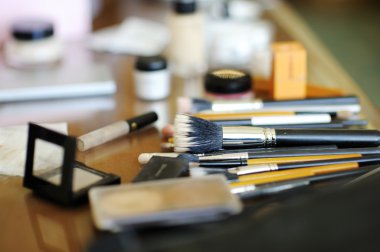 biraz makyaj fırçaları