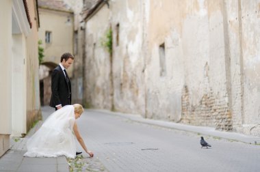 Gelin ve damat bir güvercin besleme