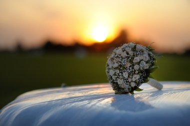 Bunch of pink roses on car hood clipart