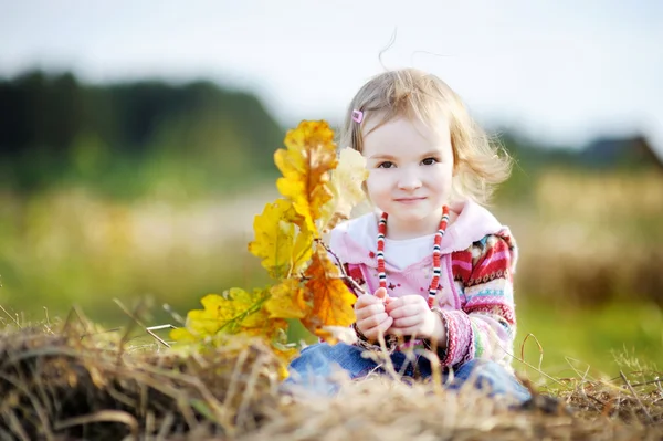 Schattig meisje buiten op de prachtige herfstdag — Stockfoto