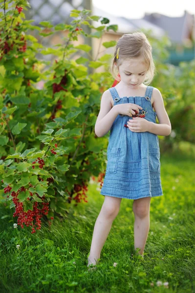 Entzückendes kleines Mädchen mit roten Johannisbeeren — Stockfoto