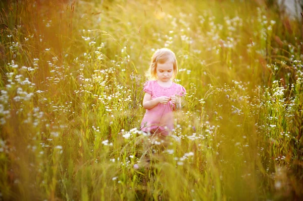 Adorable niñita en un prado —  Fotos de Stock