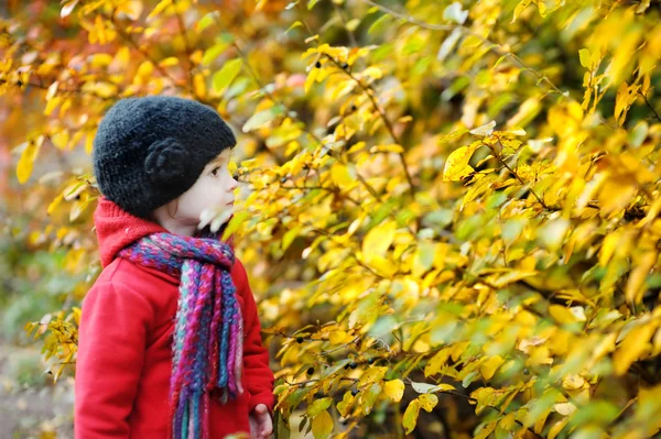 Adorable toddler on autumn day — Stock Photo, Image