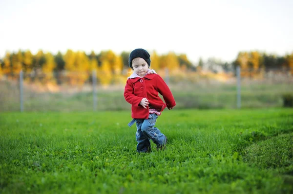 Niño adorable en un parque de otoño —  Fotos de Stock