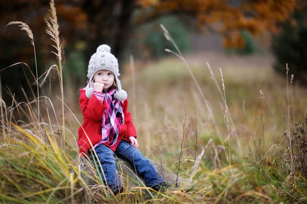 Adorabile ragazza si diverte nella giornata autunnale — Foto Stock