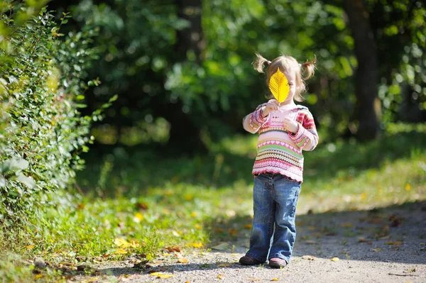 Adorable toddler in an autumn park — Stock Photo, Image