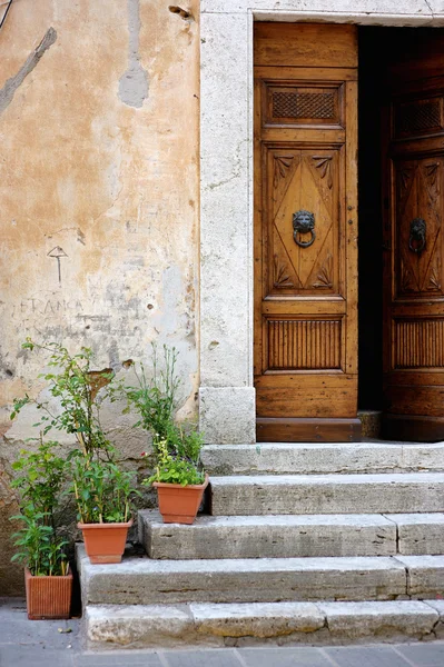 Old wooden door with flowers — Stock Photo, Image