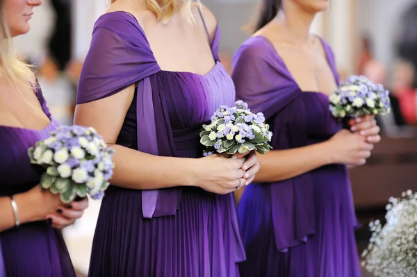 Row of bridesmaids — Stock Photo, Image