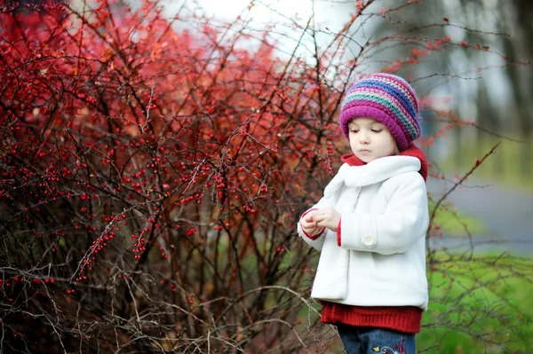 Adorable toddler in barberry bushes on autumn day — Stock Photo, Image
