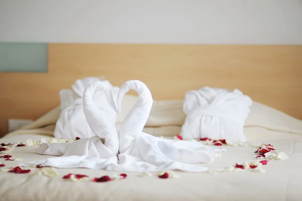 Towel swans — Stock Photo, Image