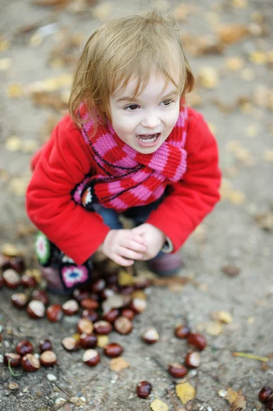 Adorable toddler girl outdoors on autumn day — Stock Photo, Image