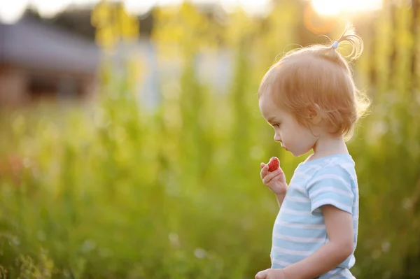 Schattig klein meisje in een weide met aardbei — Stockfoto