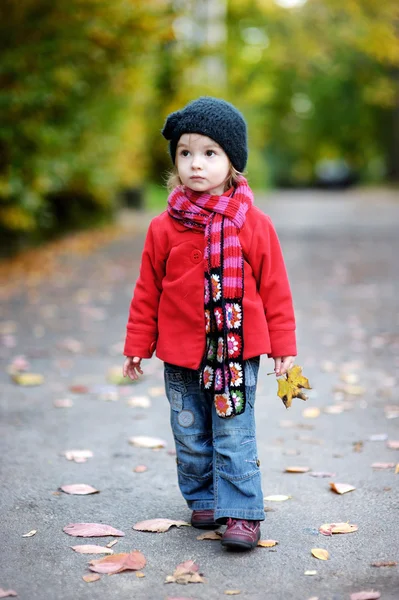 Adorable toddler in an autumn park — Stock Photo, Image