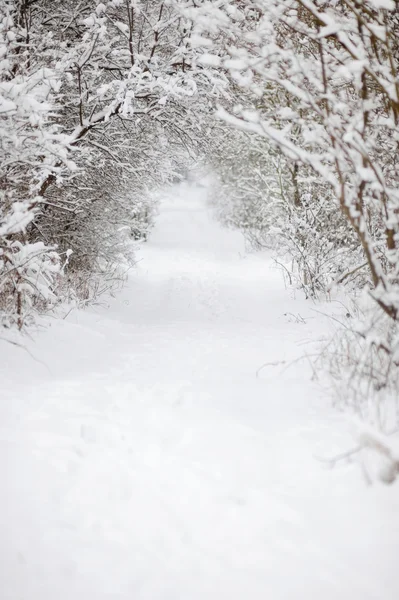 Carretera blanca nevada — Foto de Stock