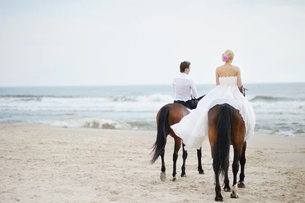 Nevěsta a ženich na koních u moře — Stock fotografie