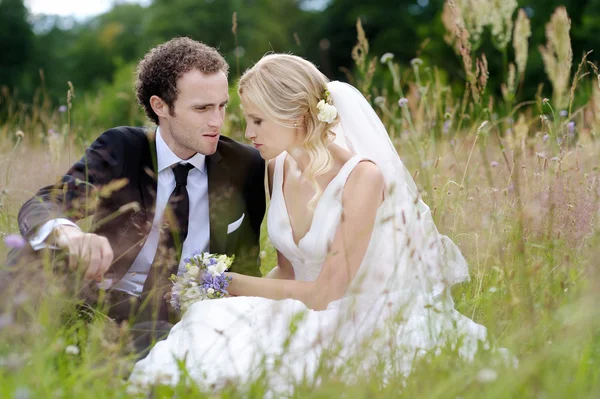 Novia y novio sentados en un prado — Foto de Stock