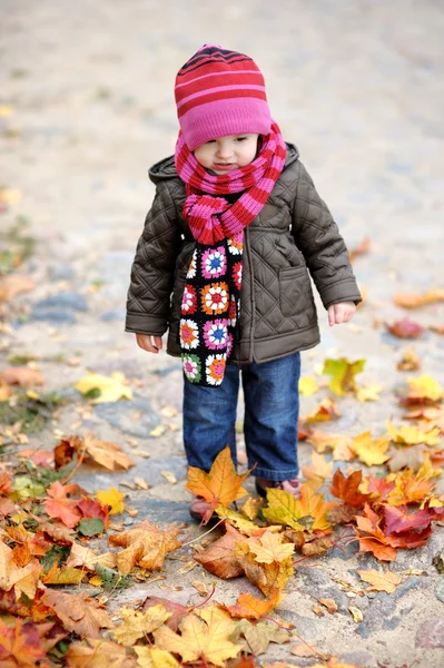 Adorable toddler in an autumn park — Stock Photo, Image