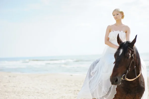 Novia en un caballo junto al mar —  Fotos de Stock