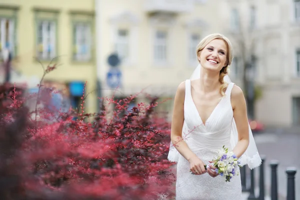 Bella sposa — Foto Stock