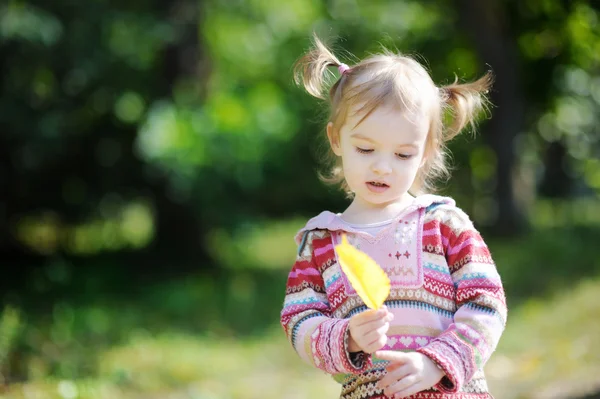 Niño adorable en un parque de otoño —  Fotos de Stock