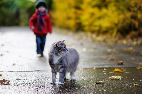 Gato gris y un niño en el día de otoño —  Fotos de Stock