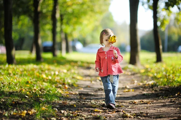 Entzückendes Kleinkind in einem herbstlichen Park — Stockfoto