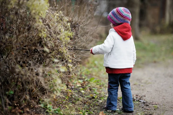 Entzückendes Kleinkind in einem herbstlichen Park — Stockfoto