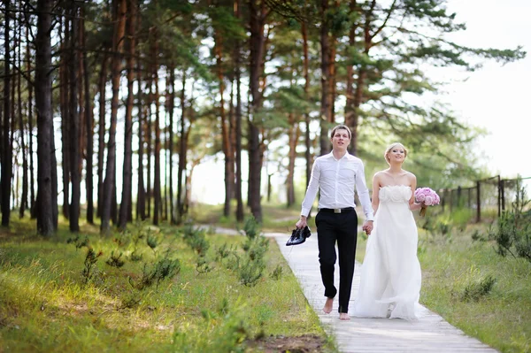 Gelin ve damat yürüyüşe sahip — Stok fotoğraf