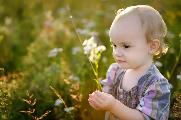 Kleines nettes Baby, das auf einer Wiese spaziert — Stockfoto